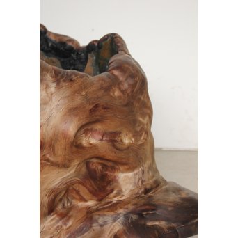 天然木 瘤木 火鉢 瓶掛　X186 