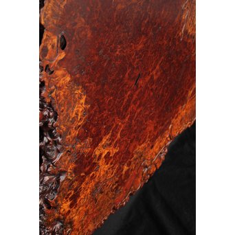 大判花梨瘤木敷板　X187 