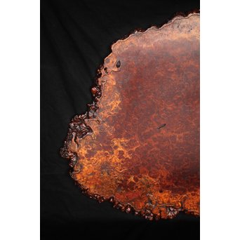 大判花梨瘤木敷板　X187 