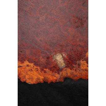 大判花梨瘤木敷板　X187 