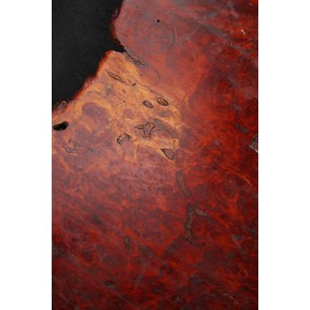 大判花梨瘤木敷板　X187 