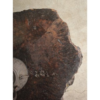 自然木 飾台/スタンド　X193 