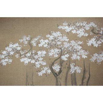 古絵巻 まくり 風俗画　Z200 