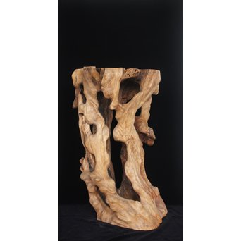 根木台 木彫自然木　X194 