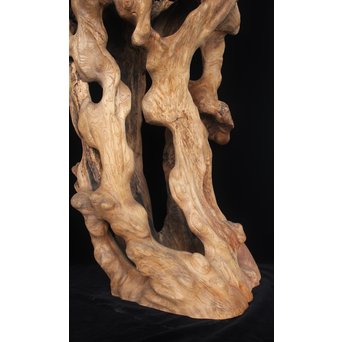 根木台 木彫自然木　X194 
