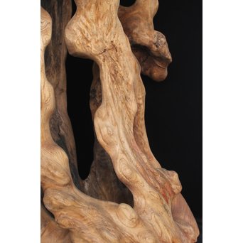根木台 木彫自然木　X194 