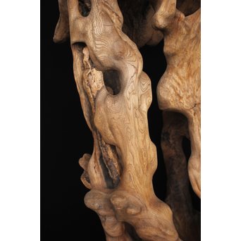 根木台 木彫自然木　X194 