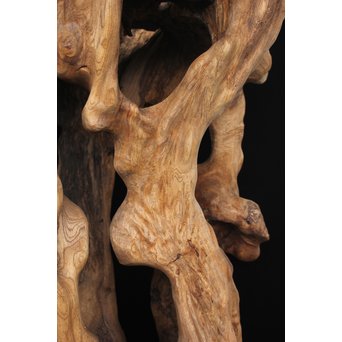 根木台 木彫自然木　X194 