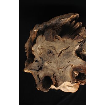 根木台 木彫自然木　X194 