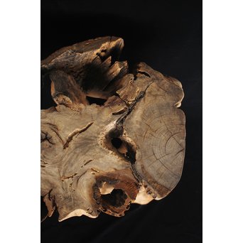 根木台 木彫自然木　X194 