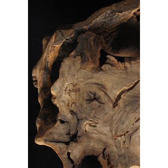 根木台 木彫自然木　X194 