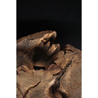 根木台 木彫自然木　X194 