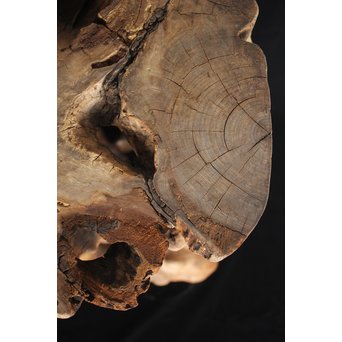 根木台 木彫自然木　X194 