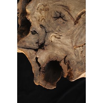 根木台 木彫自然木　X194 