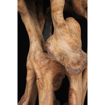 根木台 木彫自然木　X194 