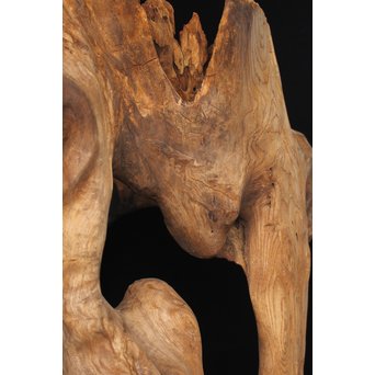 根木台 木彫自然木　X194 
