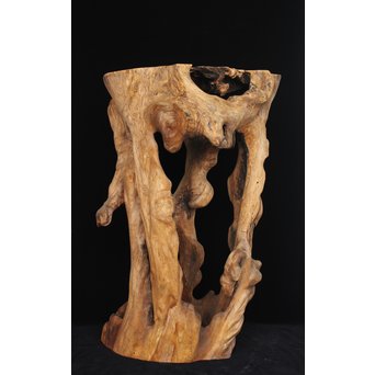 根木台 木彫自然木　X194 