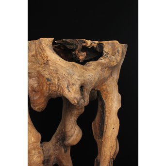 根木台 木彫自然木　X194 