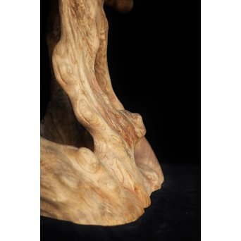 根木台 木彫自然木　X194 