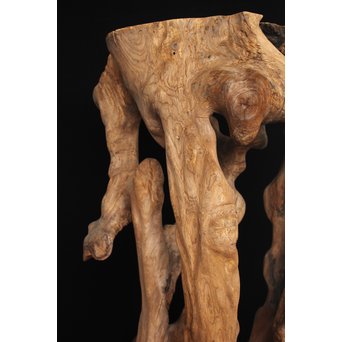 根木台 木彫自然木　X194 