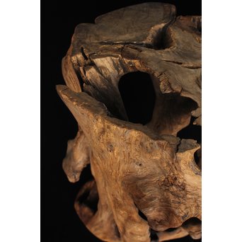 根木台 木彫自然木　X194 