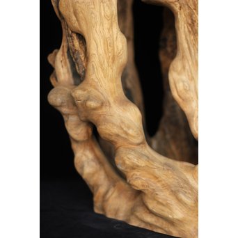 根木台 木彫自然木　X194 