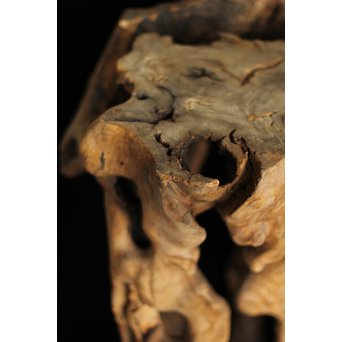 根木台 木彫自然木　X194 