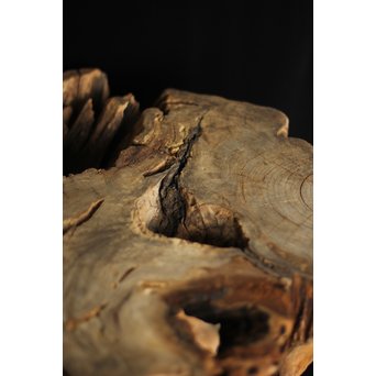 根木台 木彫自然木　X194 