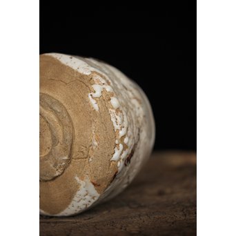 倣 荒川豊蔵 絵志野茶碗　P180 