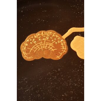 霊芝デザイン 茶具一式　U201 