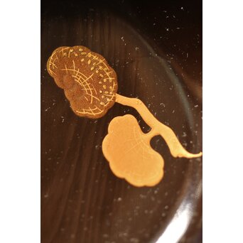 霊芝デザイン 茶具一式　U201 