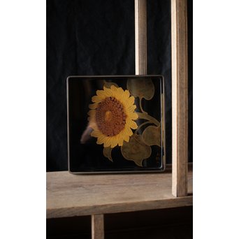 高井白陽 向日葵乱盆　Q098