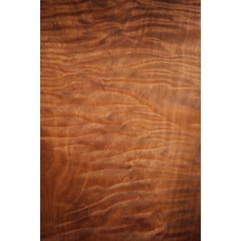 欅框 虎斑栃一枚板 極上建具 4枚1組　B984Y 