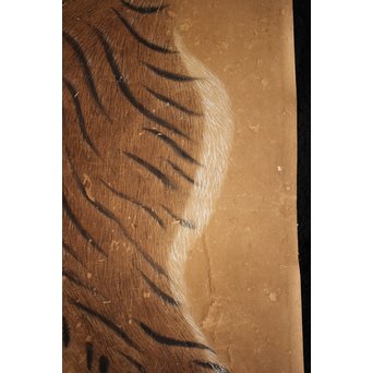 元溪/元渓【虎】紙本まくり　Z214 