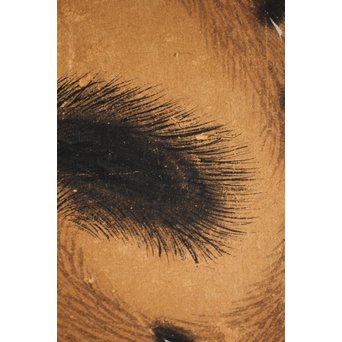 元溪/元渓【虎】紙本まくり　Z214 