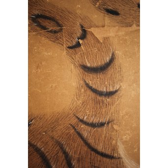 元溪/元渓【虎】紙本まくり　Z214 