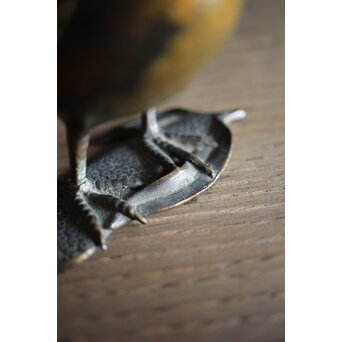 古銅鍍金 金銅鶉香炉　M212 