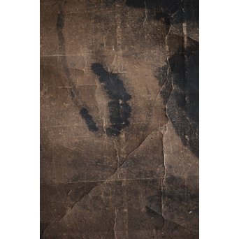 新田猫絵 紙本水墨 掛軸　Z215 