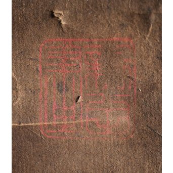 新田猫絵 紙本水墨 掛軸　Z215 