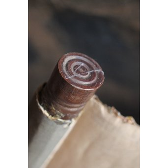 新田猫絵 紙本水墨 掛軸　Z215 