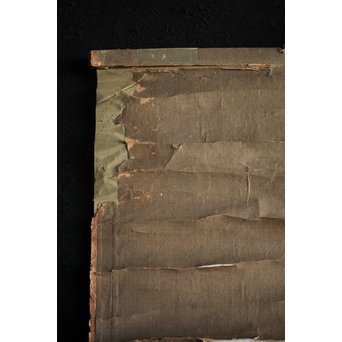 新田猫絵 紙本水墨 掛軸　Z215 