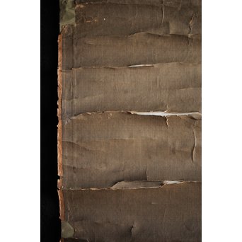 新田猫絵 紙本水墨 掛軸　Z215 