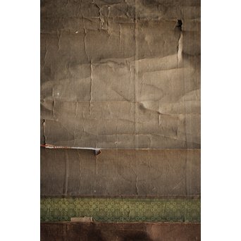 新田猫絵 紙本水墨 掛軸　Z215 