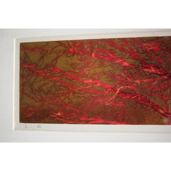 星襄一【赤い枝】木版画額装　Z216 