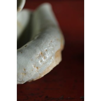 初期伊万里 陶片 馬上盃 ひっつき鎬盃　P191 