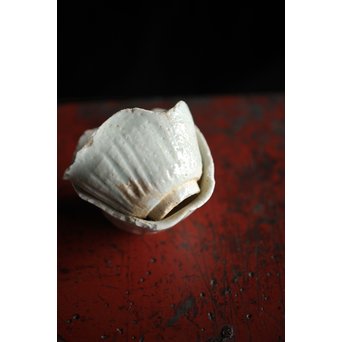 初期伊万里 陶片 馬上盃 ひっつき鎬盃　P191 