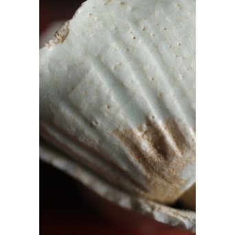 初期伊万里 陶片 馬上盃 ひっつき鎬盃　P191 