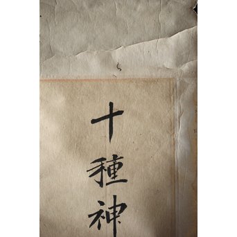 十種神宝/とくさのかんだから 紙本掛軸　Z217 