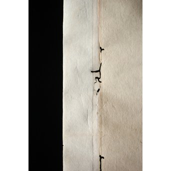 十種神宝/とくさのかんだから 紙本掛軸　Z217 