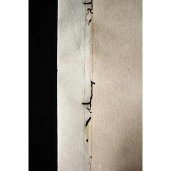 十種神宝/とくさのかんだから 紙本掛軸　Z217 